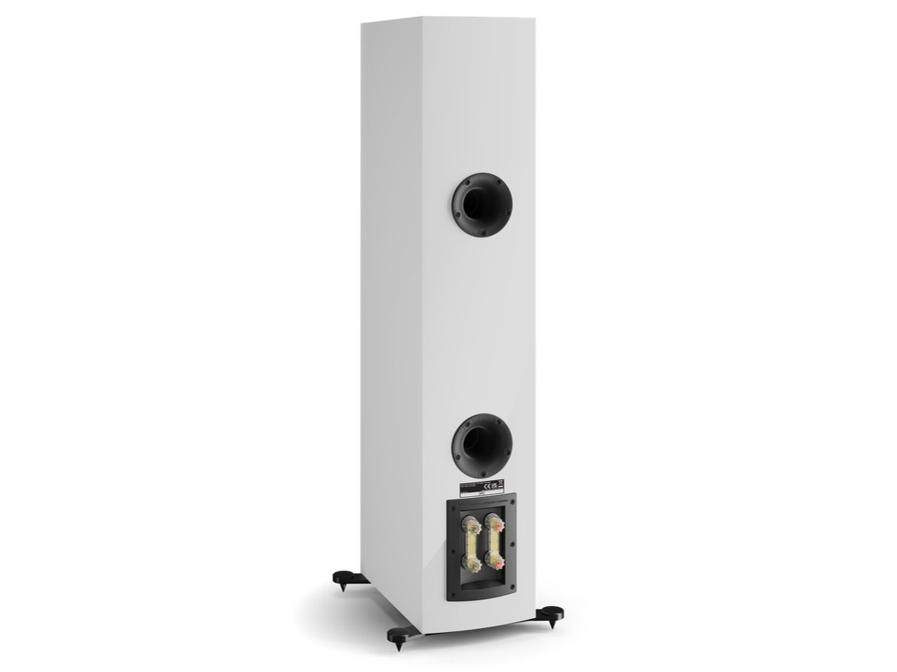 RUBIKORE6 W [�n�C�O���X�E�z���C�g �P�i]