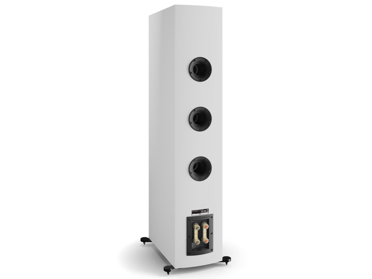 RUBIKORE8 W [�n�C�O���X�E�z���C�g �P�i]