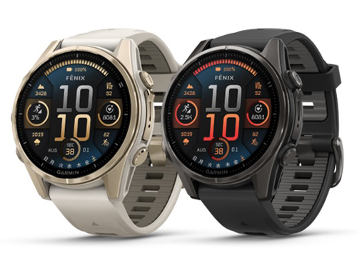 fenix 8 Sapphire AMOLED 43mm 010-02903-16 [Soft Gold/Fog Gray]