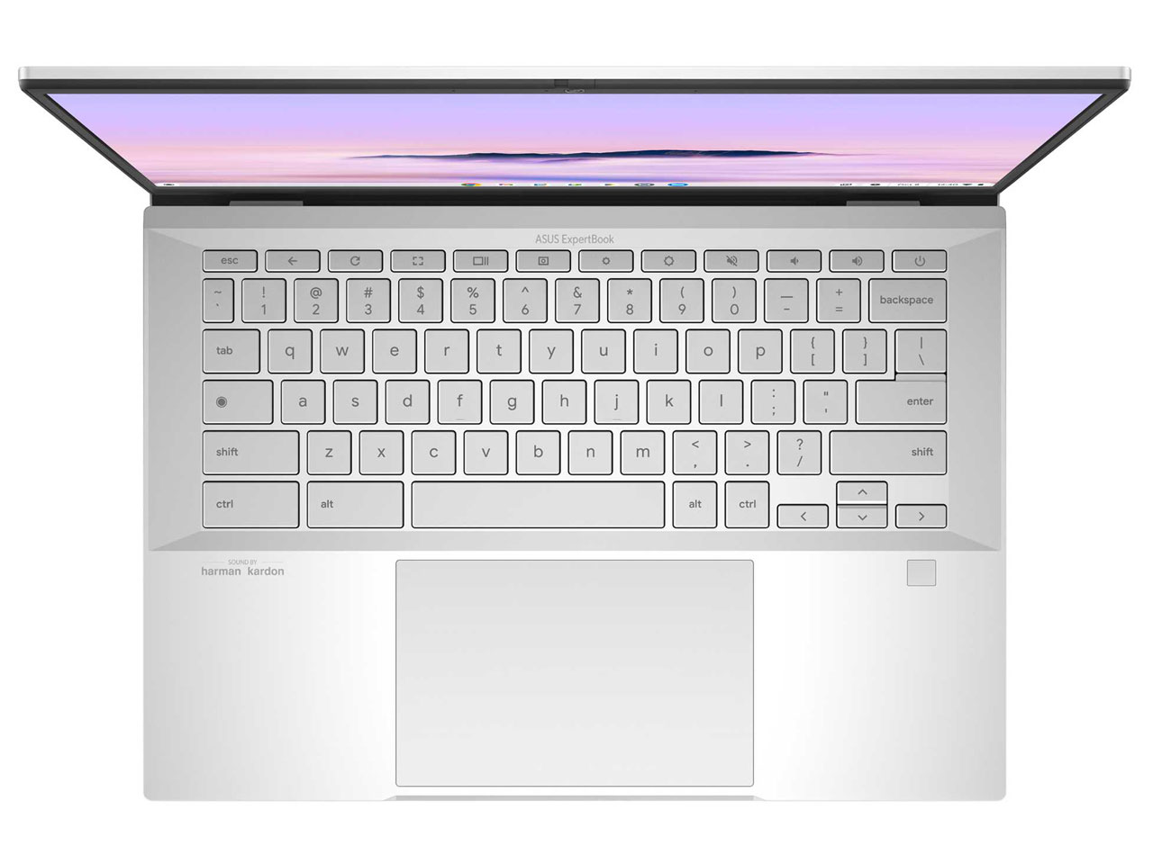 ExpertBook CX54 Chromebook Plus(CX5403) CX5403CMA-QM0272 [�t�H�O�V���o�[]