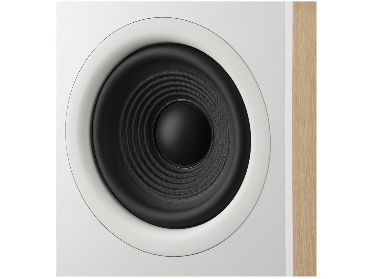 STAGE 260F WHT [���e �P�i]