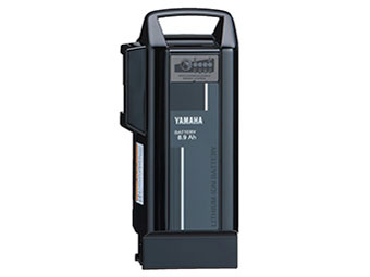 PAS Cheer PA26CH 2025�N���f�� [�}�b�g�s���A�V���o�[] + ��p�[�d��