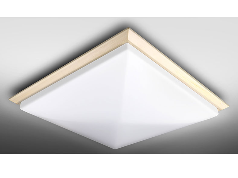 NLEH08006E-LC �̐��i�摜