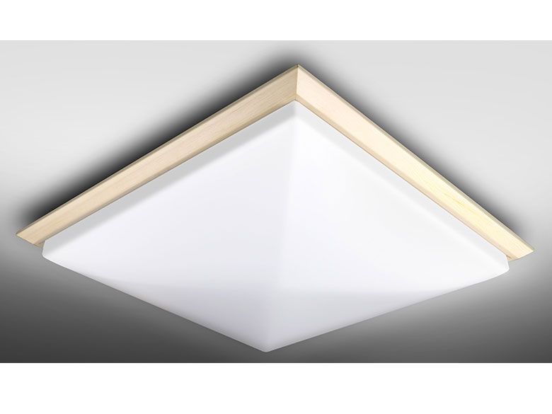 NLEH12006E-LC �̐��i�摜