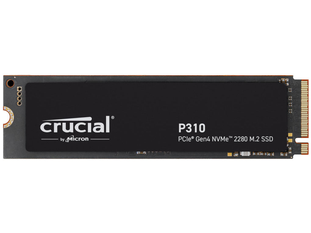 P310 CT1000P310SSD8-JP