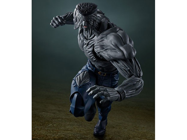 S.H.Figuarts �ˋ�C��100%