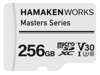 HW-MSD256GT1 [256GB] �̐��i�摜