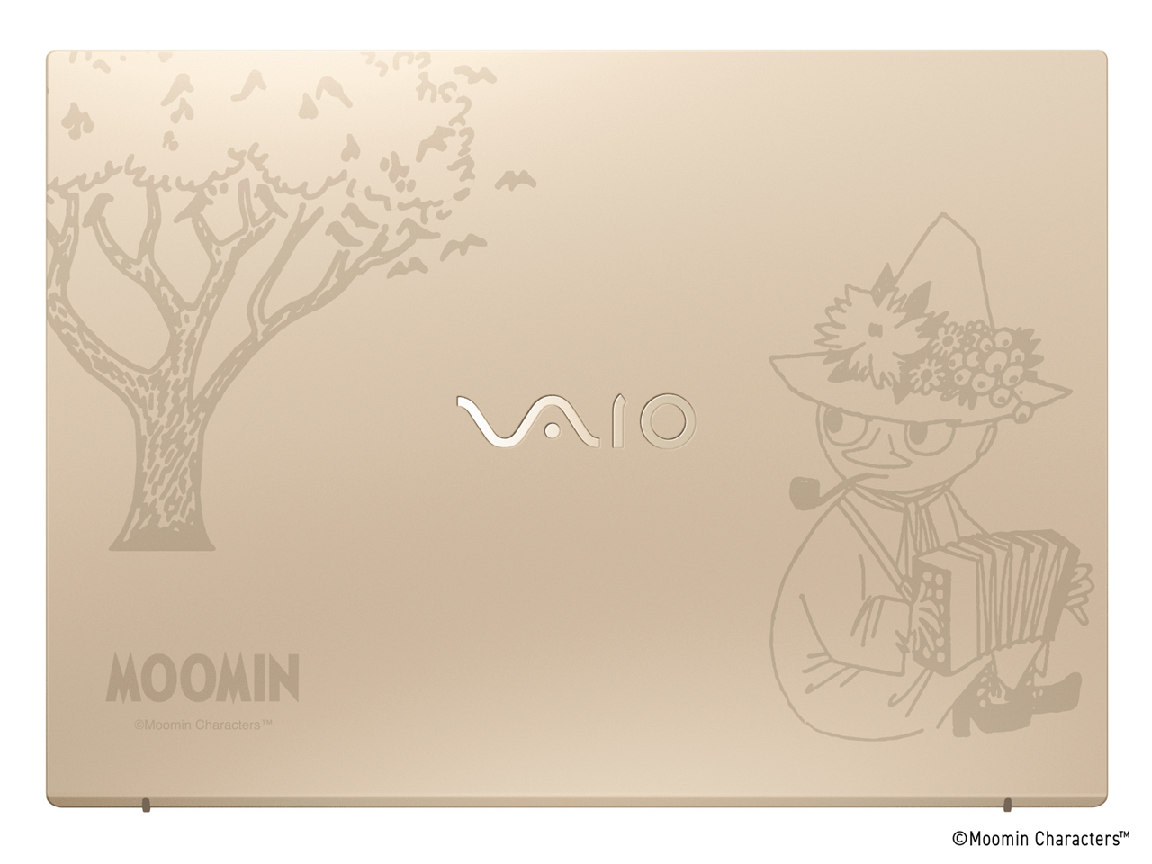 VAIO F16 VJF1618 ���[�~�����f�� �X�i�t�L���f�U�C�� Windows 11 Home�ECore i3 1315U�E8GB�������ESSD 256GB�EOffice�Ȃ��E�}�E�X���� [�T�e���S�[���h] �̐��i�摜