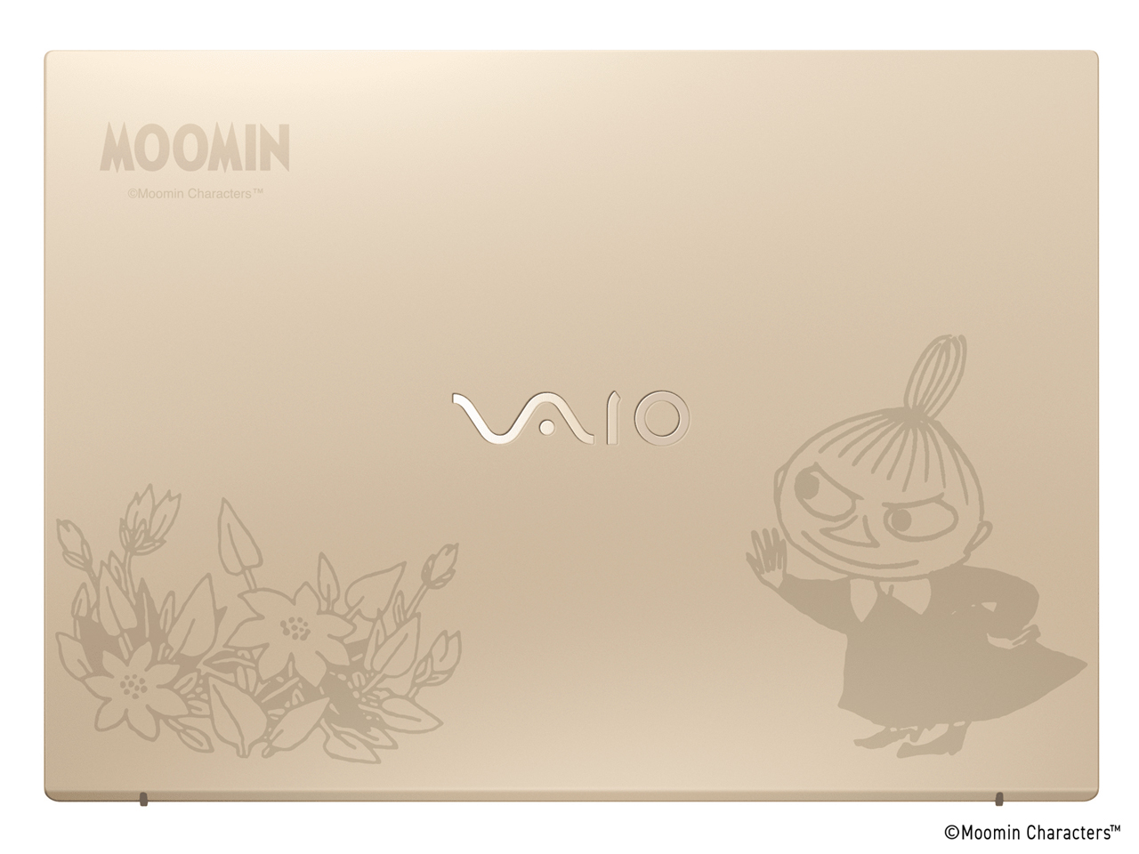 VAIO F16 VJF1618 ���[�~�����f�� ���g���~�C�f�U�C�� Windows 11 Home�ECore i3 1315U�E8GB�������ESSD 256GB�EOffice�Ȃ��E�}�E�X���� [�T�e���S�[���h] �̐��i�摜