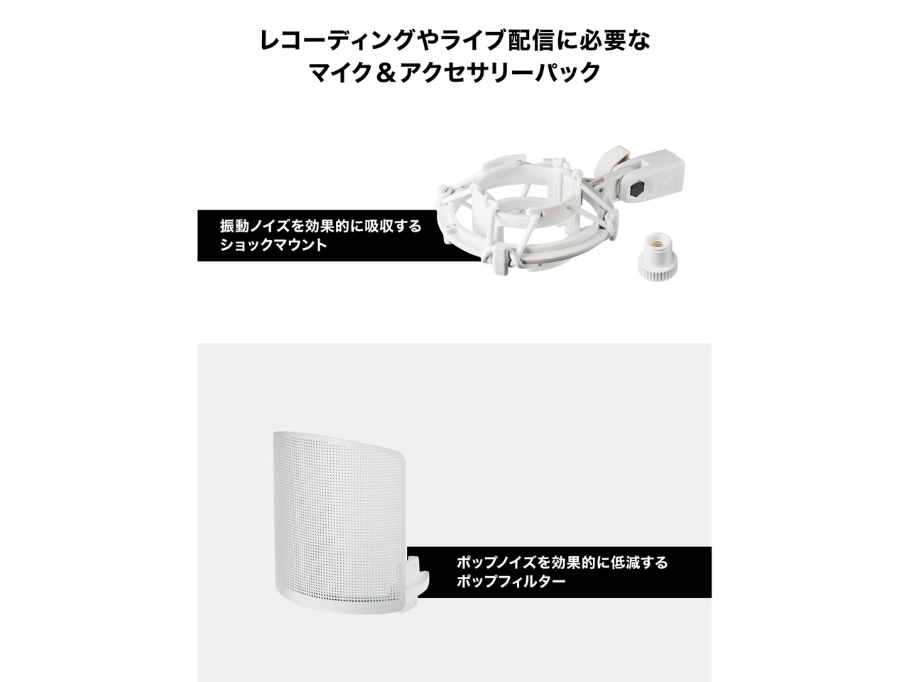 AT2020 CWH [�z���C�g]