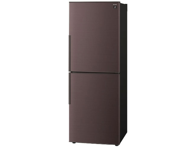 SJ-PD28P-T [�A�R�[���u���E��]