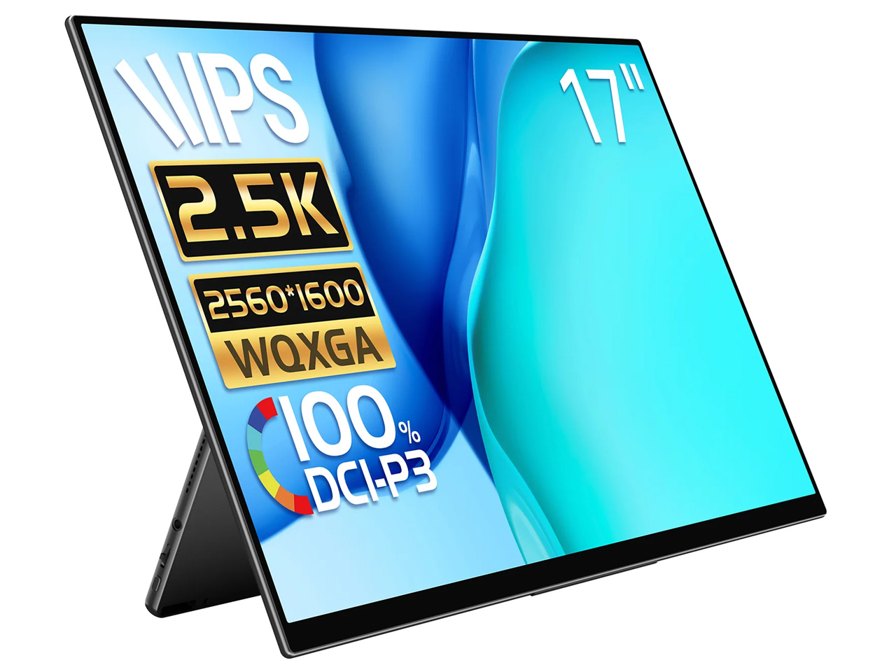 RQ-170NW [17�C���`] �̐��i�摜