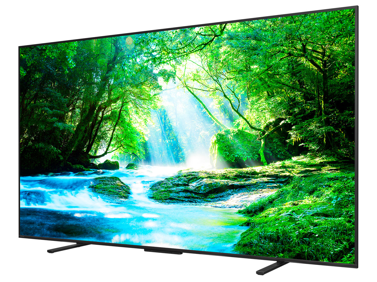 REGZA 100Z770N [100�C���`]