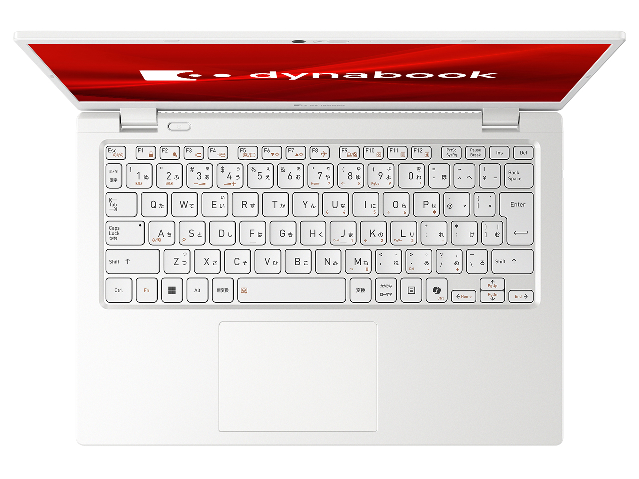 dynabook G6/Y P1G6YPBW [�p�[���z���C�g]