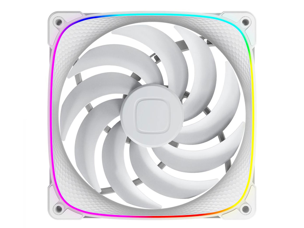 SQUAMA 2503W-14 GF-SQ-2503W-14-1P [�z���C�g] �̐��i�摜