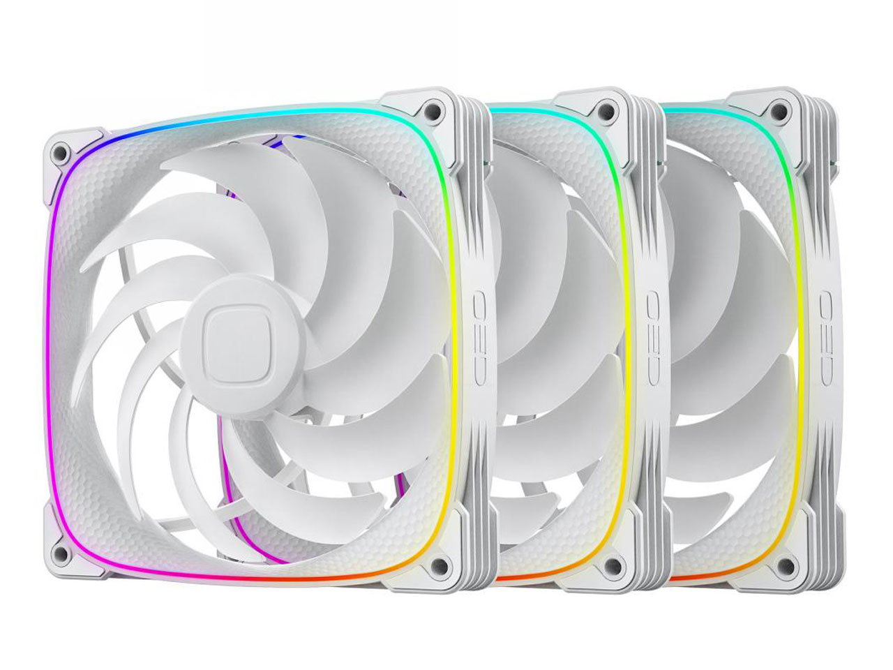 SQUAMA 2503W-14 GF-SQ-2503W-14-3P [�z���C�g] �̐��i�摜