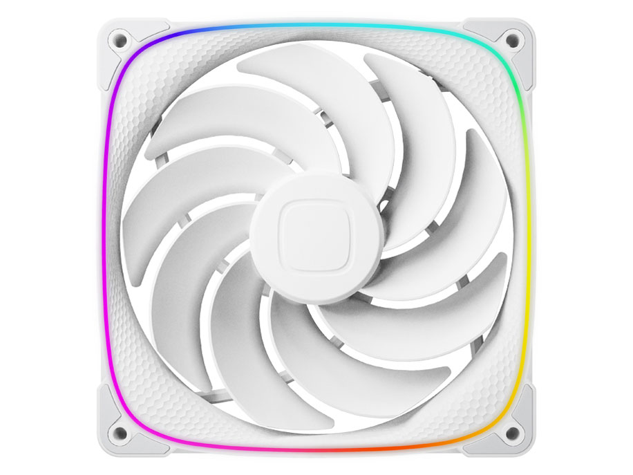 SQUAMA 2503RW-14 GF-SQ-2503RW-14-1P [�z���C�g] �̐��i�摜