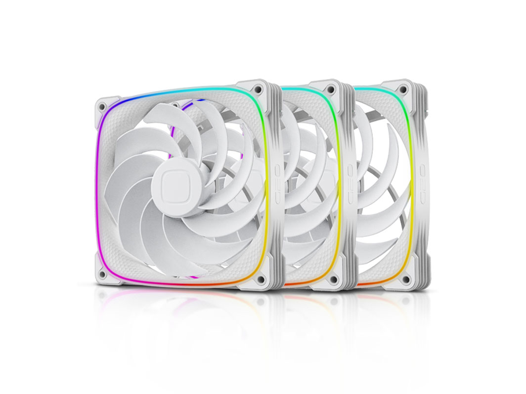 SQUAMA 2503RW-14 GF-SQ-2503RW-14-3P [�z���C�g] �̐��i�摜