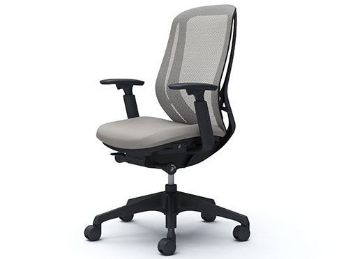 Sylphy C685ZR-FMR3 [���C�g�O���[] �̐��i�摜