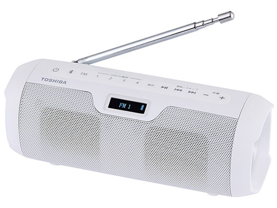 TY-SBR10(W) [�z���C�g]