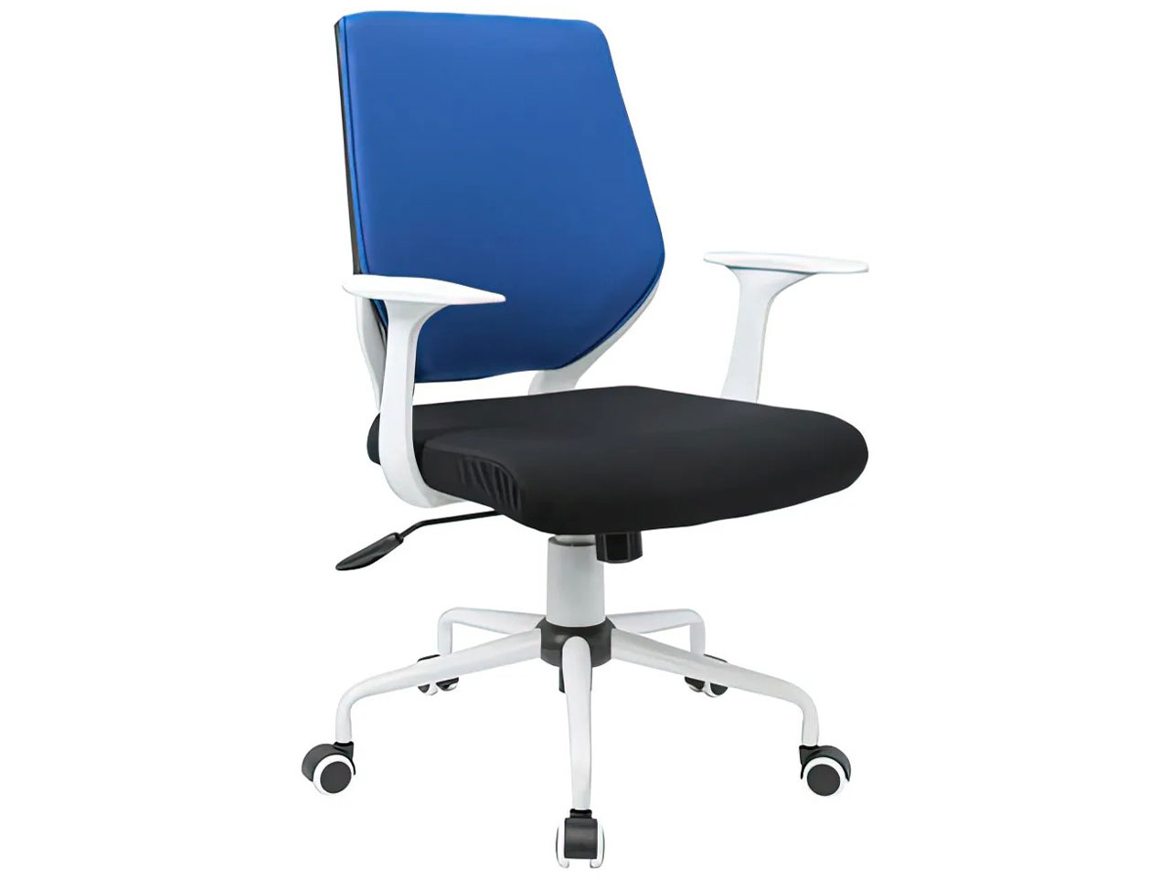 CN-309-A-WH-BL [�z���C�g×�u���[] �̐��i�摜