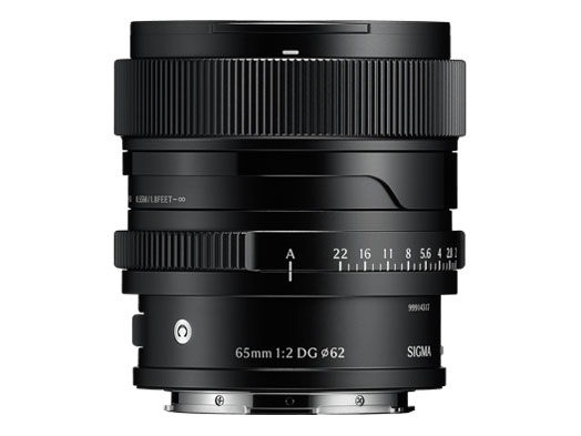 65mm F2 DG �u���b�N [���C�JL�p]