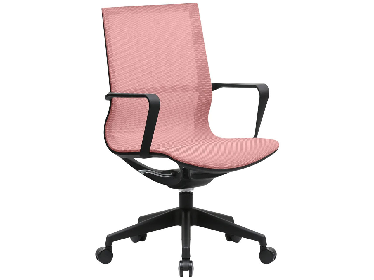 NLU-8101-M-MO [�������f�B�I�����W] �̐��i�摜