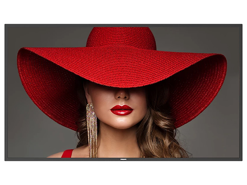 65BDL4650D/11 [64.5インチ]