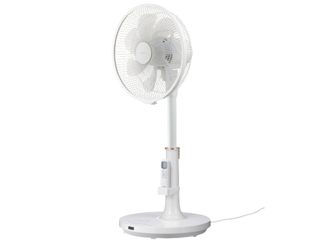 TF-30DL28(W) [�z���C�g]