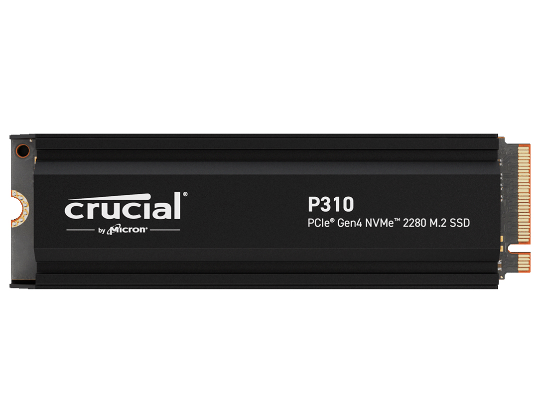 P310 CT2000P310SSD5-JP �̐��i�摜