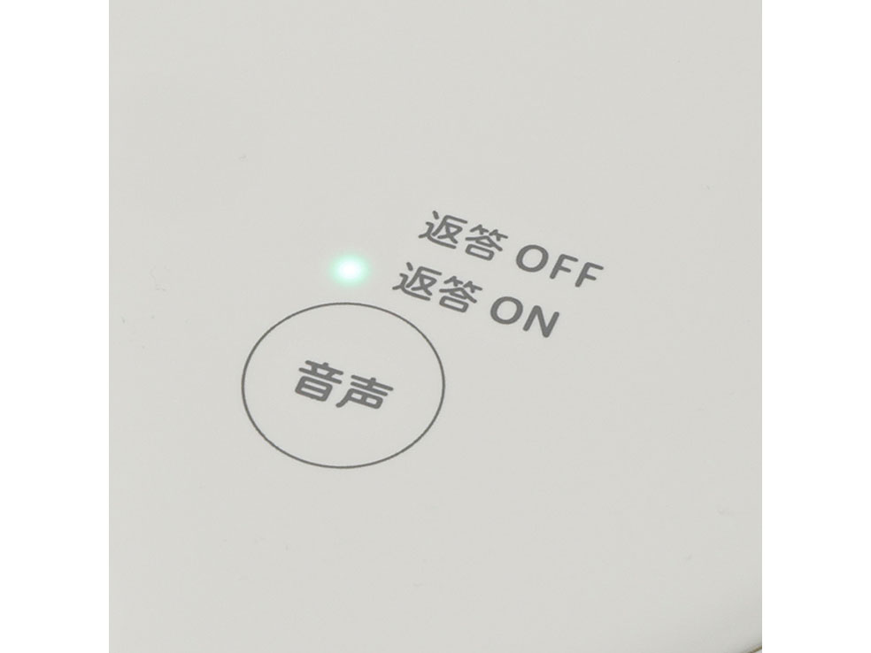 SF-V251 [�z���C�g]