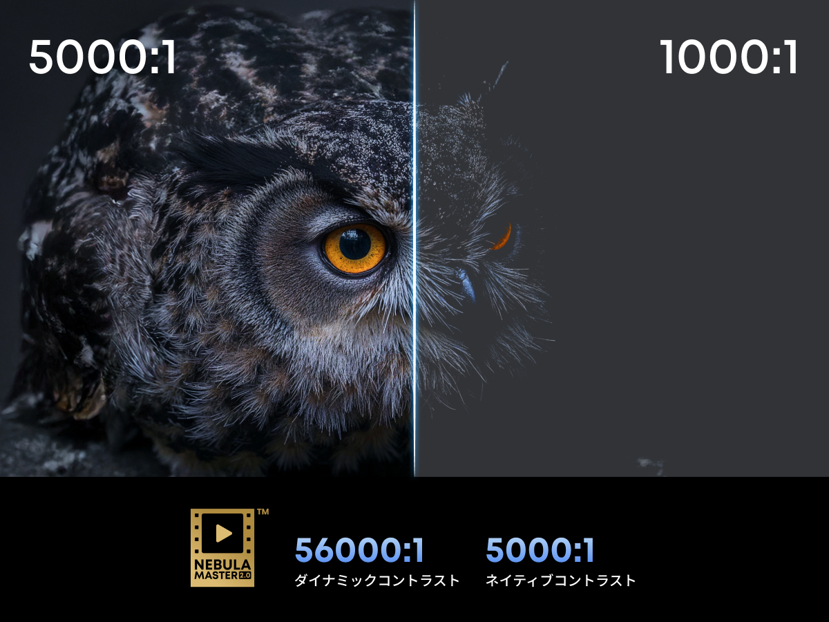 Nebula X1 N23515F1 [�u���b�N]