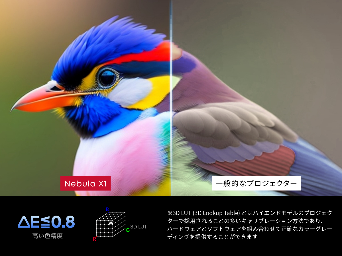 Nebula X1 N23515F1 [�u���b�N]