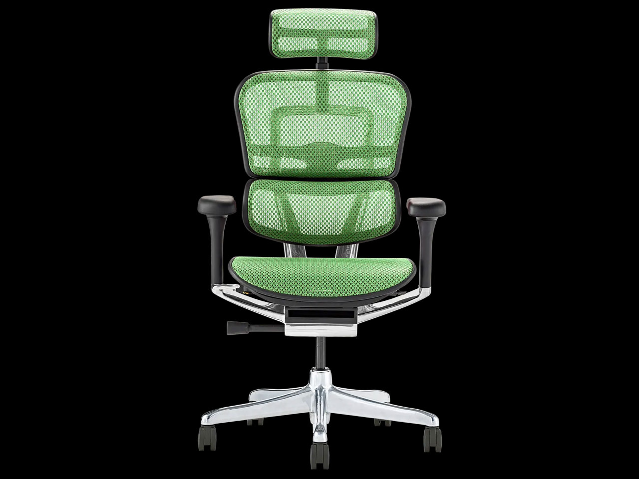 Ergohuman PRO2 EHP2-HAM-DR-BF-GN [�O���[��] �̐��i�摜