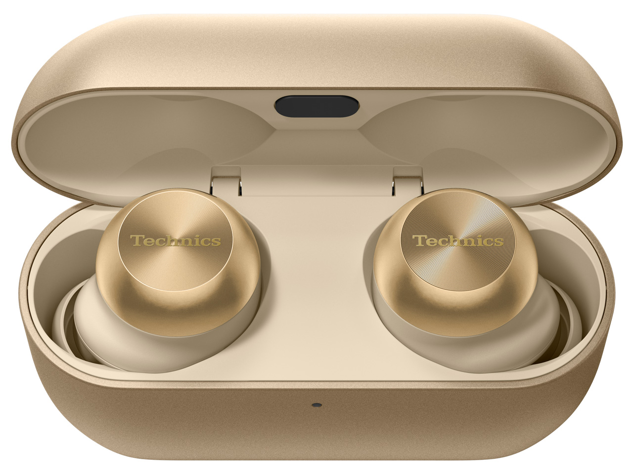 Technics EAH-AZ100-N [�V�����p���S�[���h]