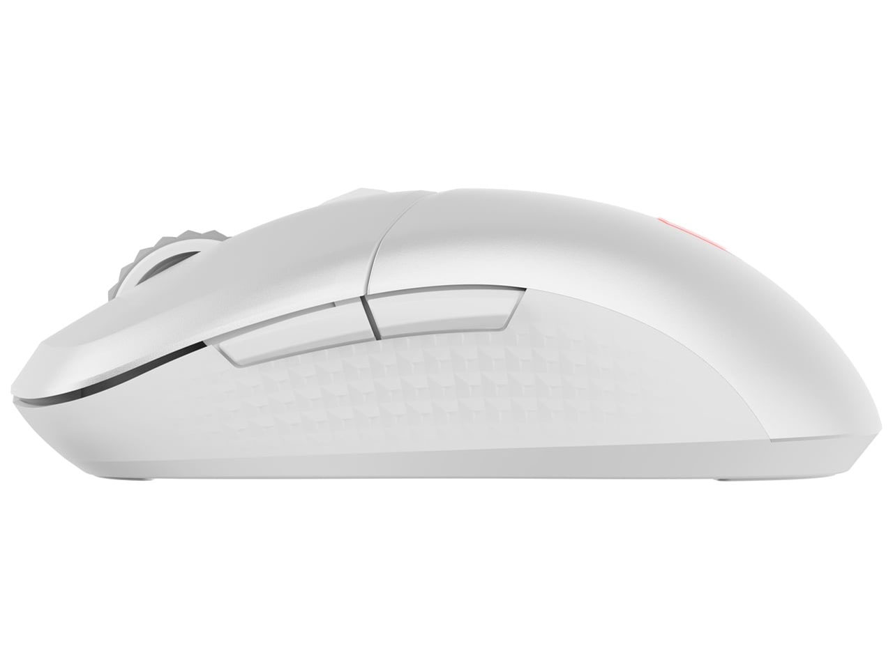 VERSA 300 WIRELESS [�z���C�g]