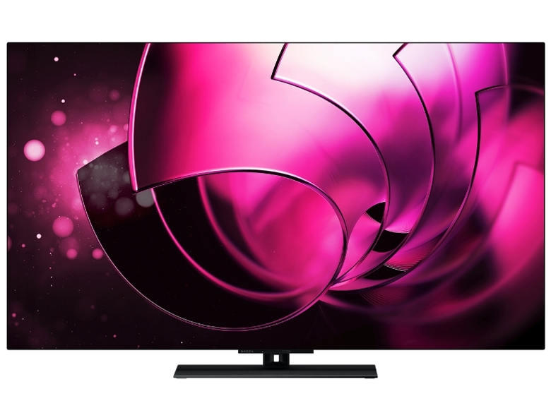 REGZA 4K有機ELテレビ 48X8900N 48型 家電 E031
