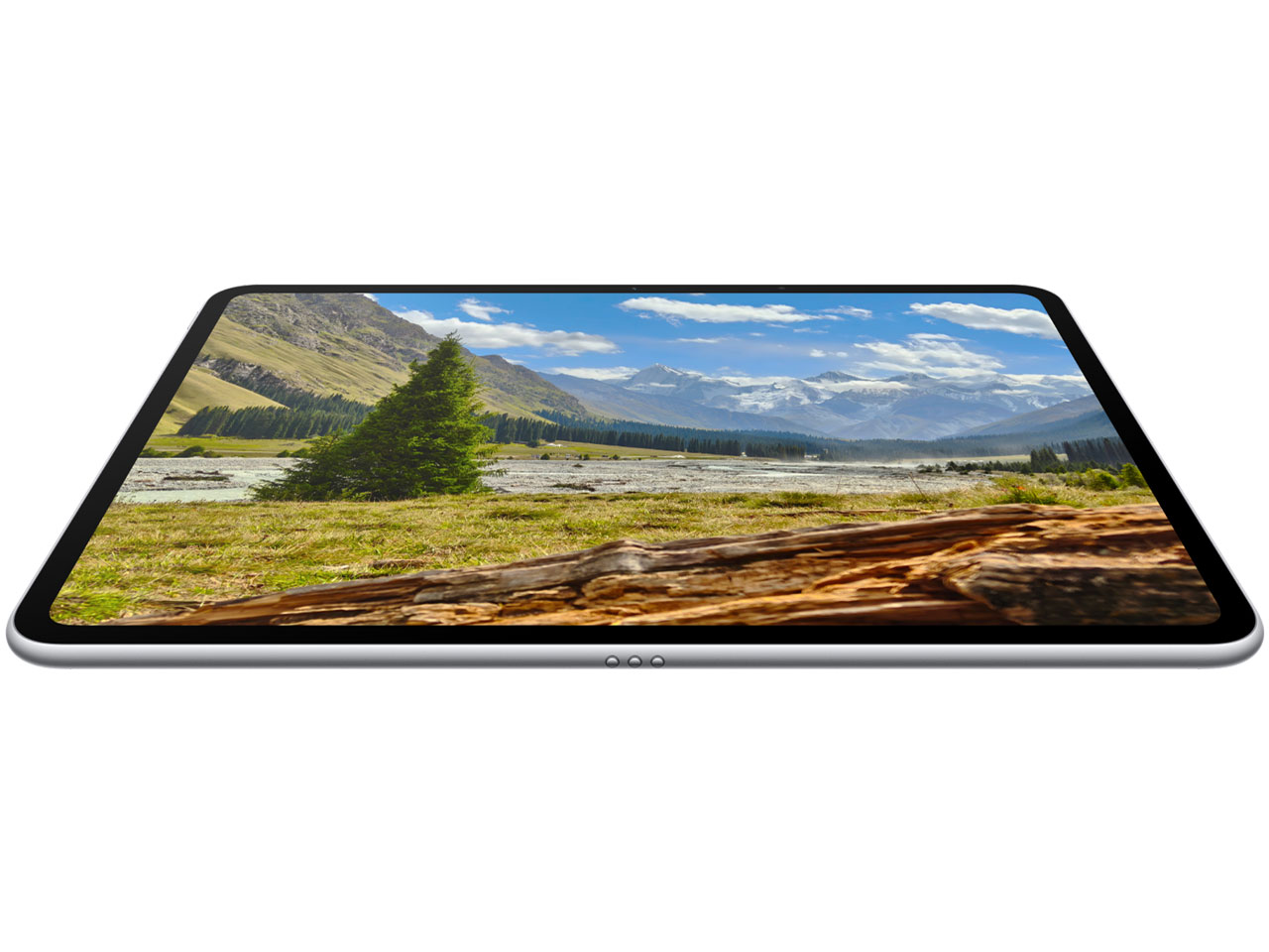 OPPO Pad 3 Matte Display Edition [�V���o�[]