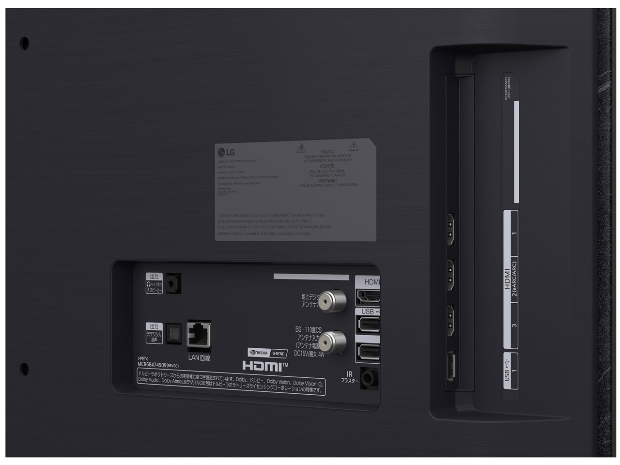 OLED48C5PJA [48�C���`]