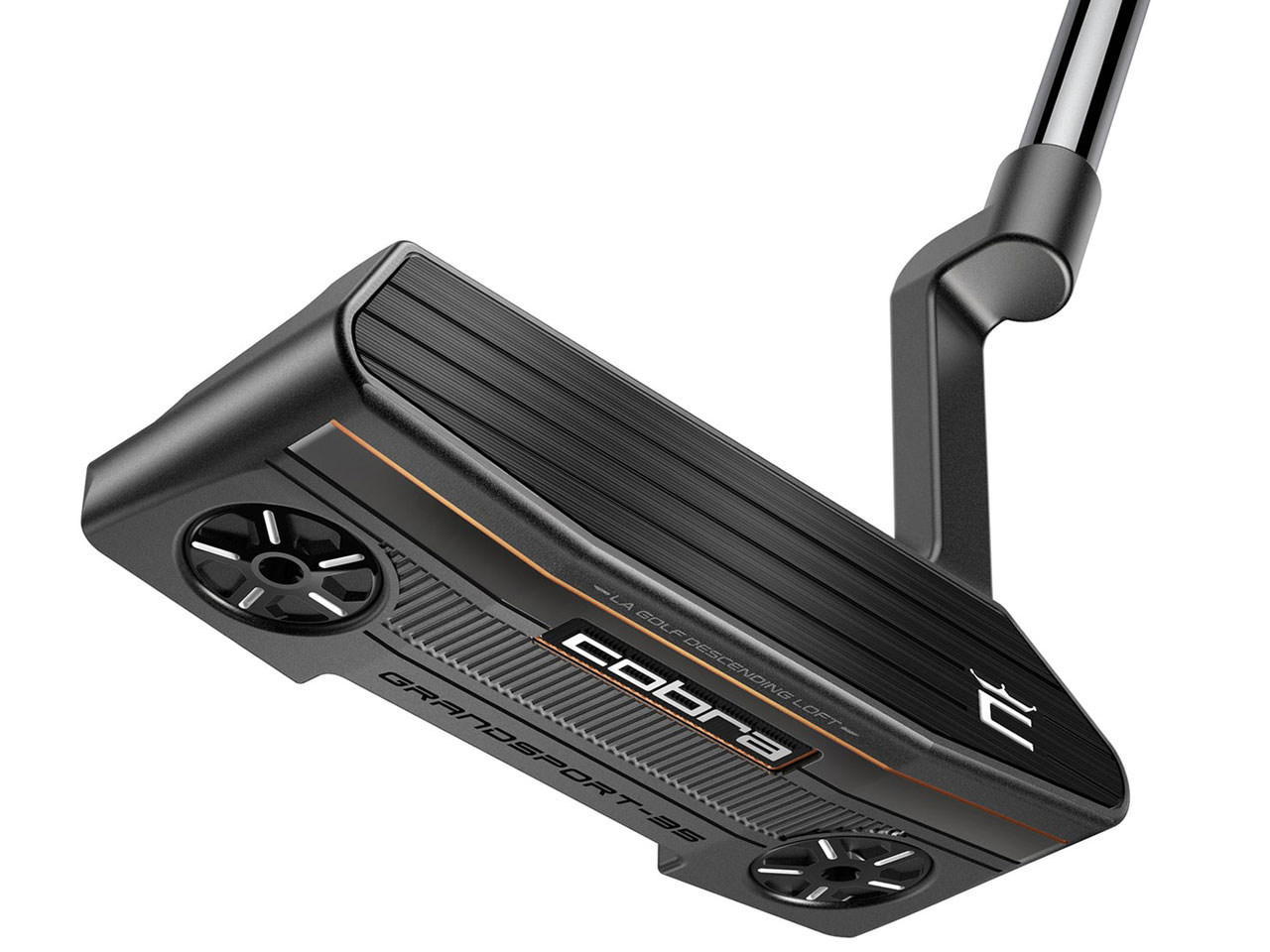 3D PRINTED GRANDSPORT ARMLOCK �p�^�[ [41�C���`] �̐��i�摜