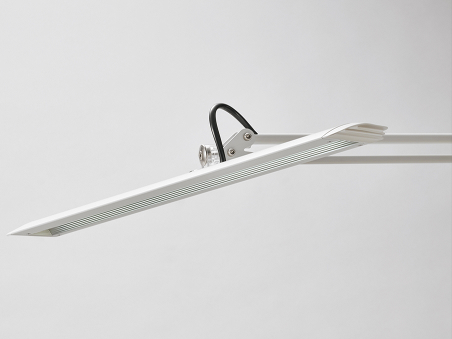 Z-LIGHT Z-10GW [�z���C�g]