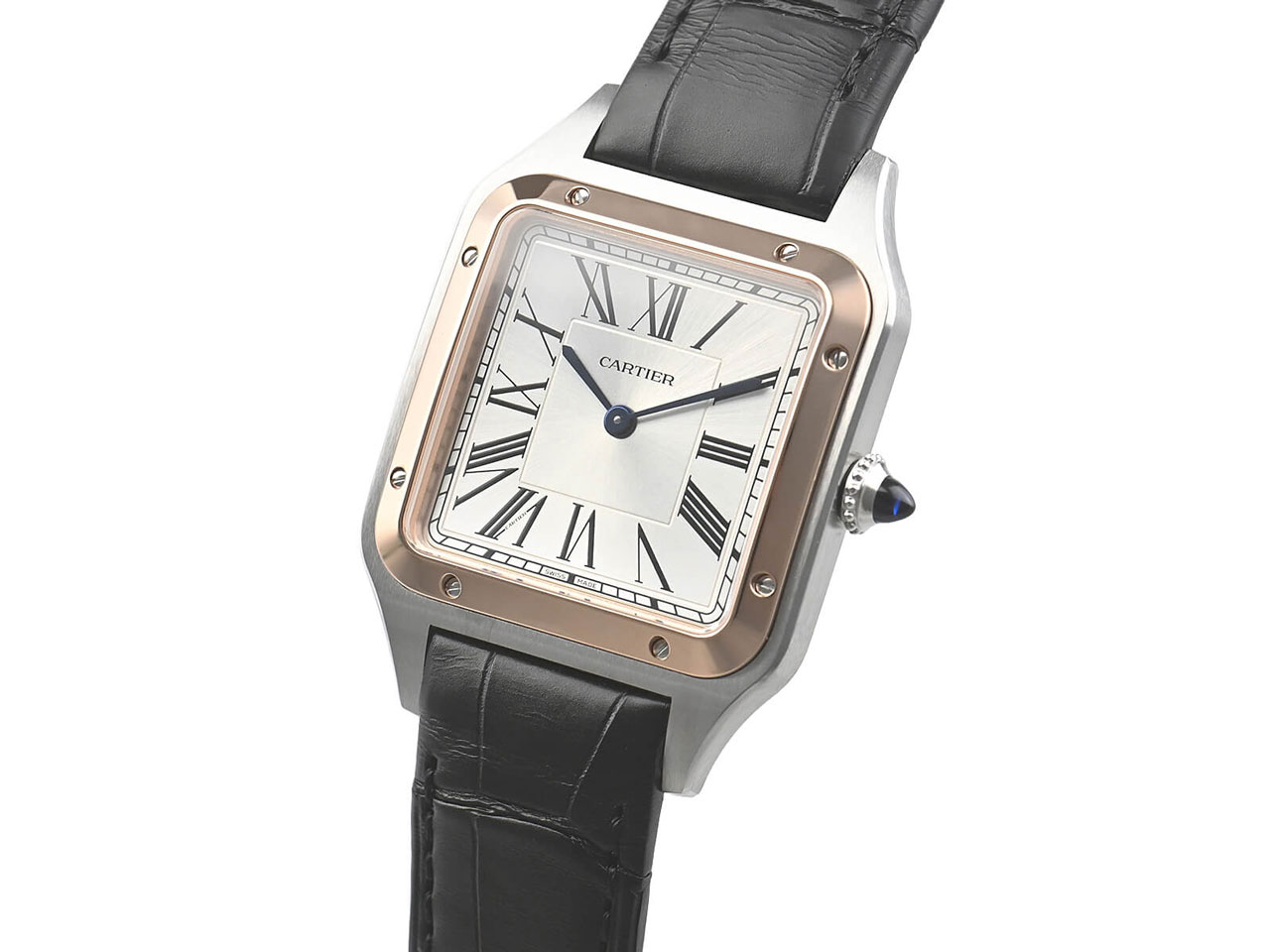 �T���g�X �f������ LM W2SA0037 �̐��i�摜