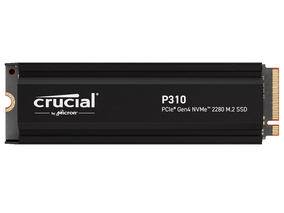 P310 CT1000P310SSD5-JP �̐��i�摜