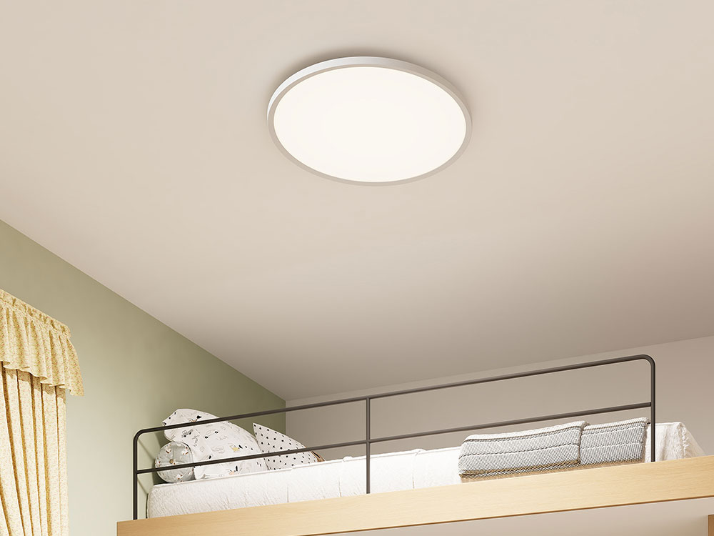 �ڂɗD���� �V�[�����O���C�g J24X1-N50W [�z���C�g]