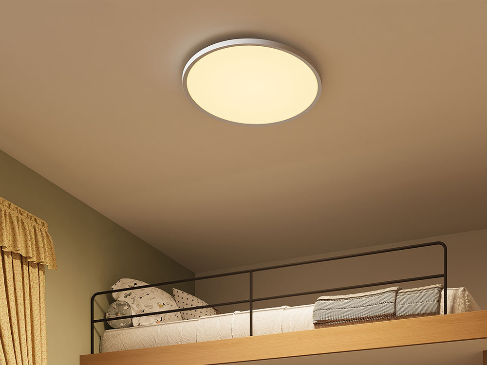 �ڂɗD���� �V�[�����O���C�g J24X1-N50W [�z���C�g]