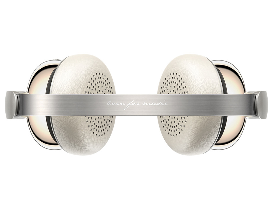 Snowsky ANYTIME [Titanium Gold]