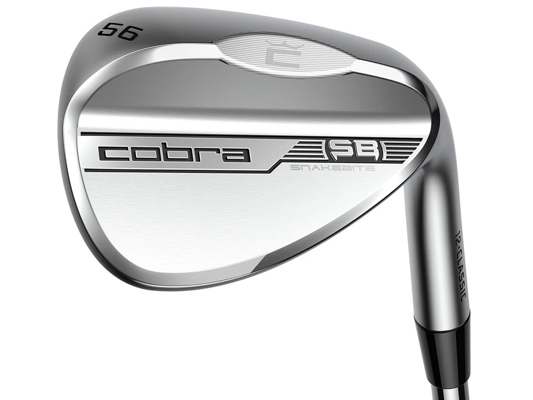 SNAKEBITE �E�F�b�W �j�b�P���N���[���d�グ [�_�C�i�~�b�N�S�[���h 105 �t���b�N�X�FS200 ���t�g�F58 �o���X�F6] �̐��i�摜