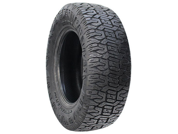 RENEGADE A/T PRO 265/65R17 116H XL �̐��i�摜