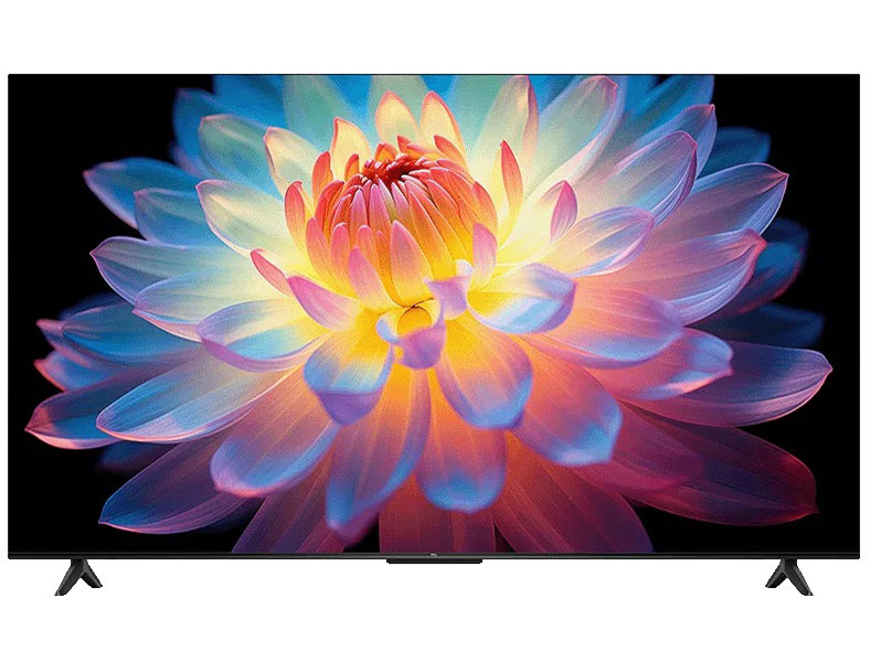 55P61K [55�C���`] �̐��i�摜