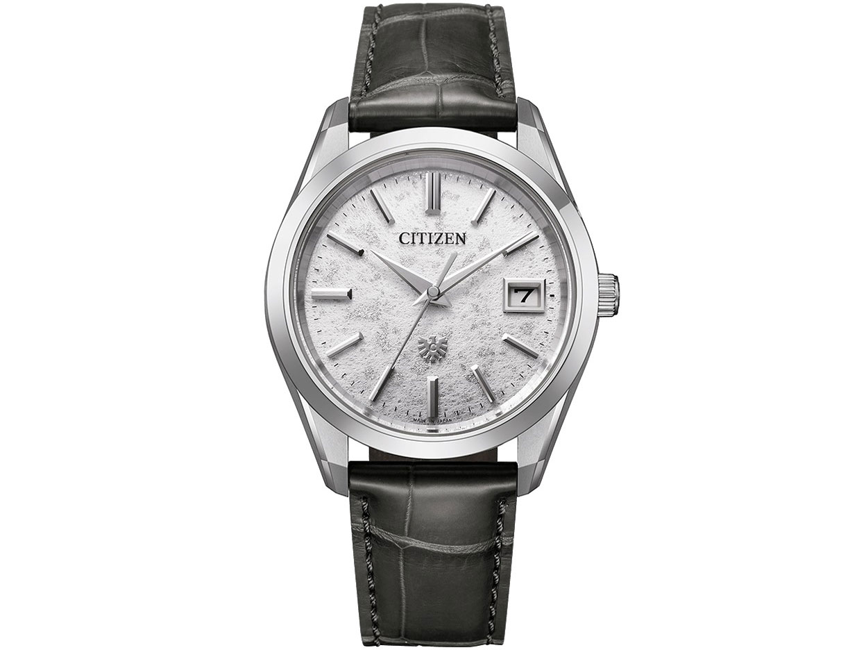 ザ・シチズン Iconic Nature Collection 30周年記念限定モデル AQ4100-22A